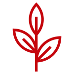 artifact:  image of a stalk of a plant with leaves